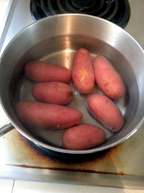 10411367_10152070332796673_8119661584490036503_n