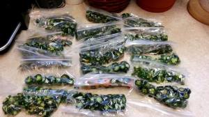 10384300_10152333167011673_66454660590568990_n