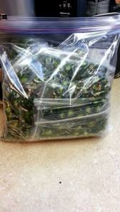 1911610_10152333167066673_8670230636040144649_n